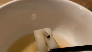 음란버섯