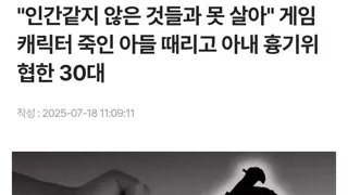 게임 캐릭터 죽인 아들 때리고 아내 흉기 위협한 30대