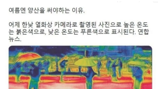 땡볕에 양산을 써야하는 이유