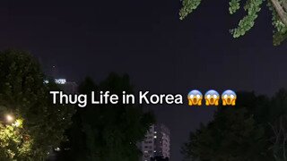협업주의) 경찰과 소방관까지 출동해 잡으려해도 결국 놓쳐버린 그 새.....