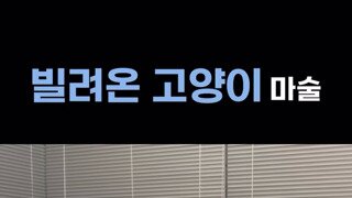 호그와트 이 생키들 진짜 미친 거 아님?