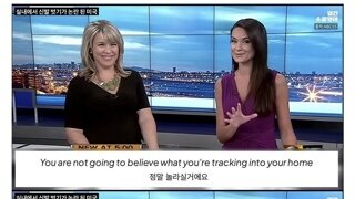 미국에서 논란이라는 문화