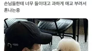썸네일 이미지