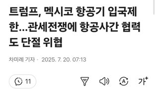 트럼프 '모든 멕시코 여객 ·화물기 회사는 별도 착륙허가 받아야'