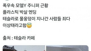 폭우 때문에 심각하다는 테슬라 차들