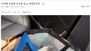 추석때 시골에 슈트를 들고 이대로가면..