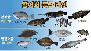 회전문가들을 위한 어종표