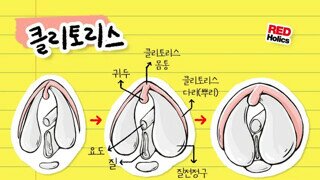 성교육 클리에 대해 알아보자