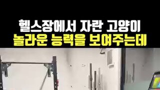 고양이가 눌렀어요~~