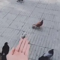 스티커 이미지