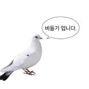 스티커 이미지