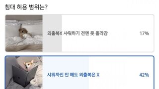 침대 허용 범위