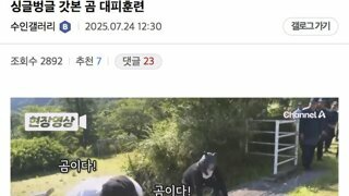 일본의 곰 대피 훈련