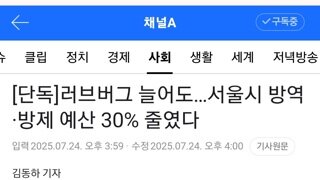 러브버그 늘어도, 서울시 방역&방제 예산 30퍼 줄였다.