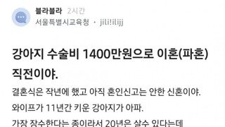 블라) 강아지 수술비로 파혼직전이야.jpg