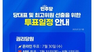 민주당 대표 선출 투표 일정