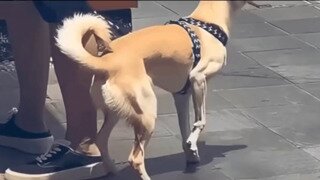 45도 넘었다는 중국 현 상황