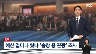 출장중 관광, 정부와 국회 조사착수