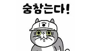 체위에 따라 임신 가능성이 달라질까요?