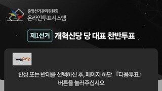 개혁신당 당대표 선거 근황