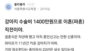 강아지 수술비 1400만원으로 이혼(파혼)직전이야