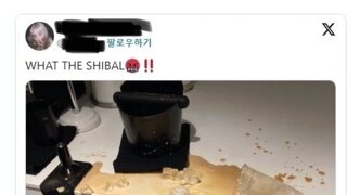 왓 더 SHIBAL