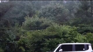 레이 근황.mp4...