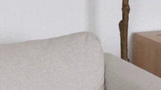 코박죽 베개