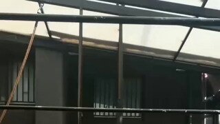 물리 법칙 따위 개나 줘버린 인간들