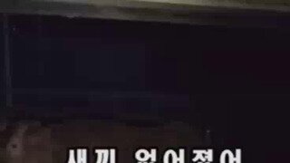 새벽에 소가 울어 뛰쳐나온 주인.mp4