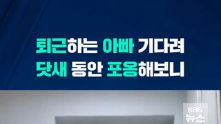 존경주의) 매일 퇴근하는 아빠를 안아주기시작한 아들