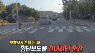신호등 없는 횡단보도.mp4...