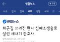썸네일 이미지