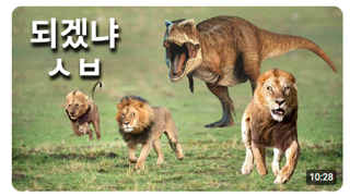 썸네일에서 결론이 보임