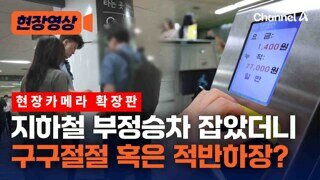 '부정승차' 적발했더니 