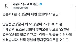 현직 경찰이 내란 옹호 ㄷㄷ (feat. 극우추적단)