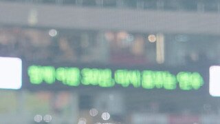 대만 야구단 합류한 김도아 치어리더 인별