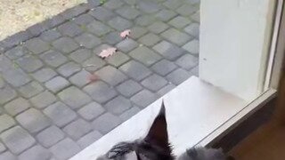 배트냥 비긴즈.mp4...
