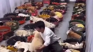 낮잠은 다잔거시여..