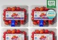 스테비아 대추 방울 토망고 500gx4팩 (총 2kg)