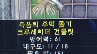 무술장갑 득템인가여