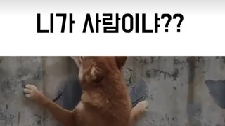 개오줌싸는대 이렇게싸는건태어나서첨보네 ㅋㅌㅋ
