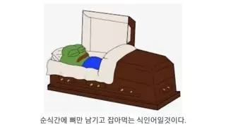 식인어 피라냐의 진실