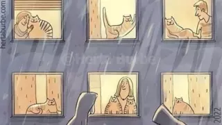 비오는날 냥집사 vs 댕집사.jpg