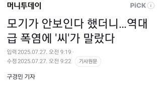 모기가 안보인다 했더니…역대급 폭염에 '씨'가 말랐다