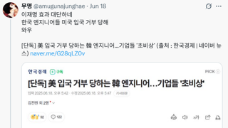 대충 아무거나 이재명 효과라는 내란견들