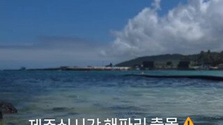 혐주의 환형 주의) 난리났다는 제주도 근황
