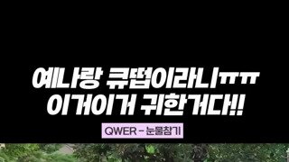 QWER 시연 X 최예나 눈물참기 릴스