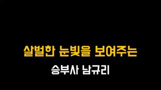 남규리 vs 무릎