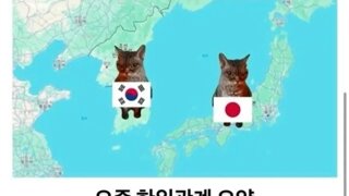 요즘 한일관계 한짤요약